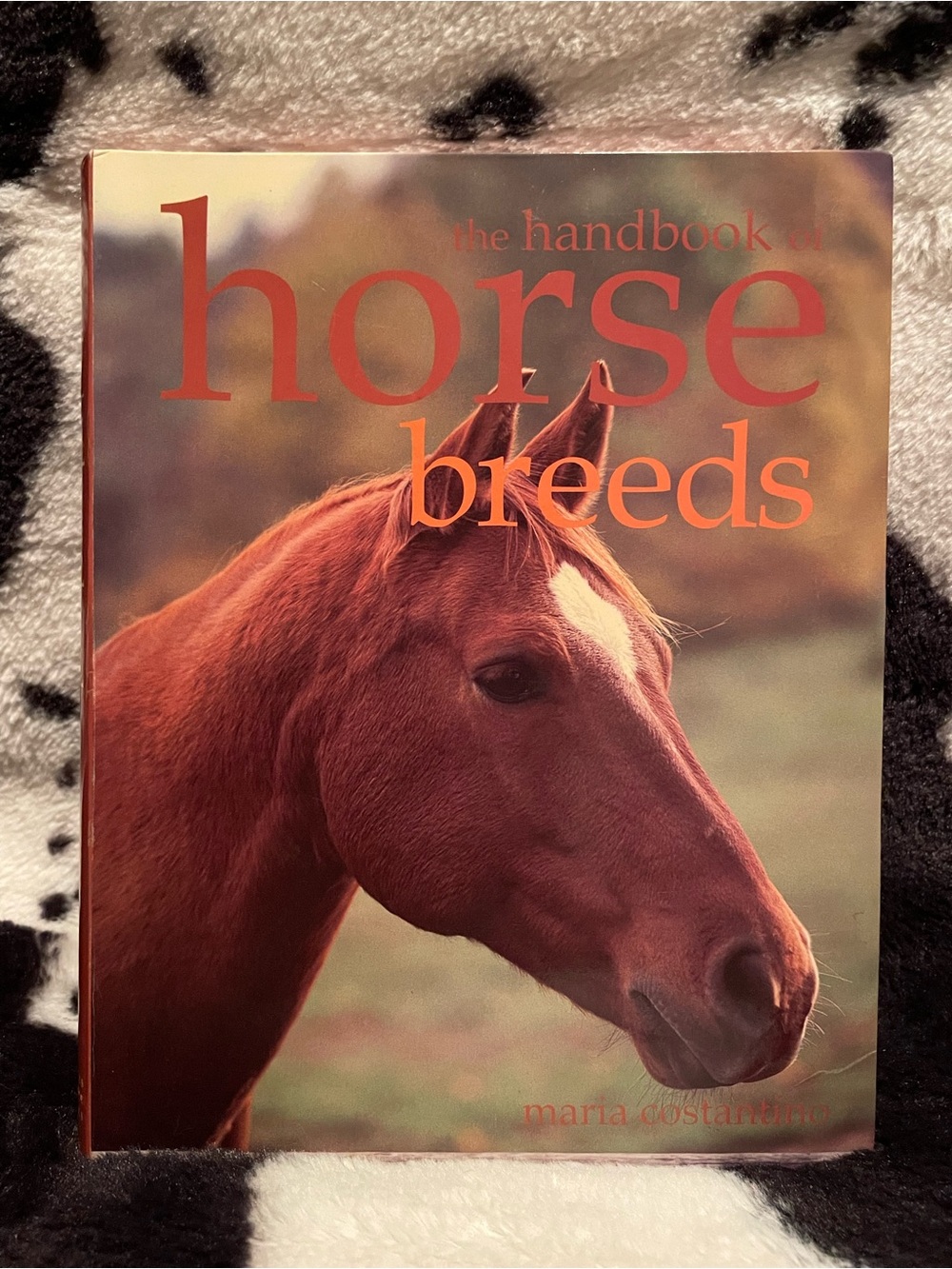 The Handbook of Horse Breeds by Maria Constatino Paperback Book
